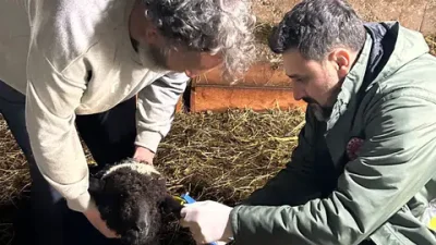 Trabzon İl Tarım ve Orman Müdürlüğü koordinesinde Of İlçe Müdürlüğü