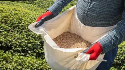 Çay üreticilerini yakından ilgilendiren 2026 sezonu gübre fiyatları belli oldu.