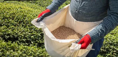 Çay üreticilerini yakından ilgilendiren 2026 sezonu gübre fiyatları belli oldu.