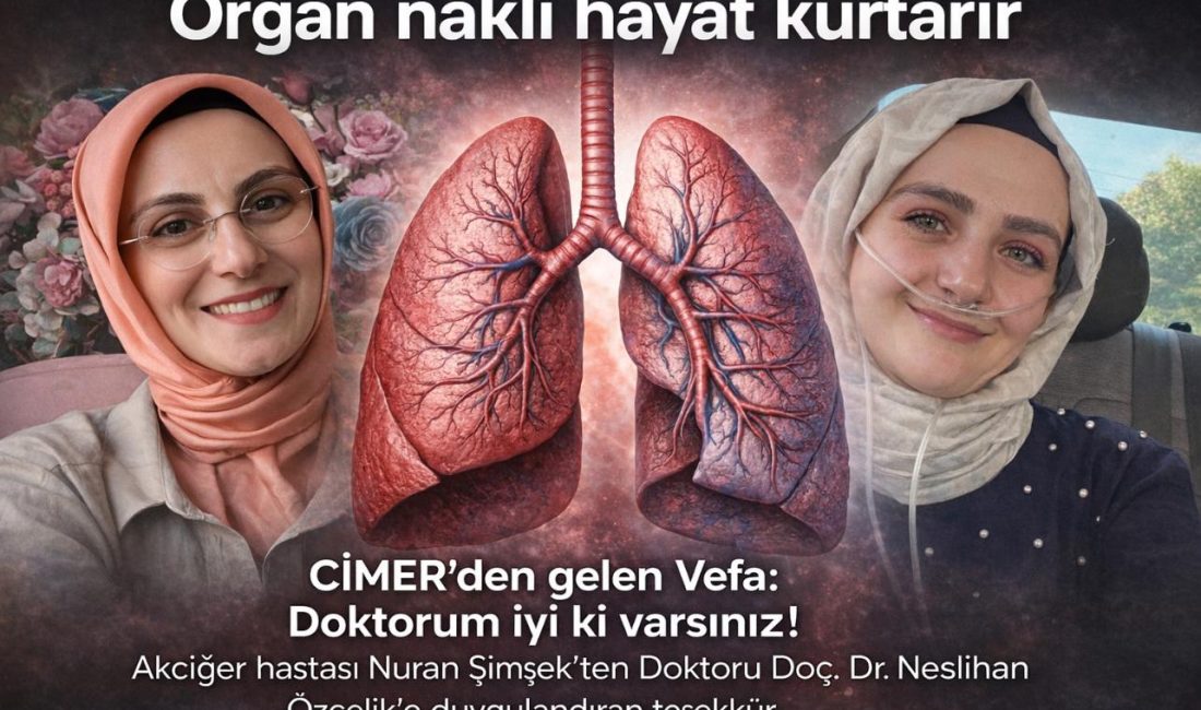 CİMER denilince akla hep şikayetler, sorunlar ve talepler gelir. Ancak