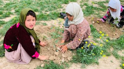 KYDD Kadim Yurtlar Dayanışma Derneği tarafından Anayurt Güney Türkistan ‘a