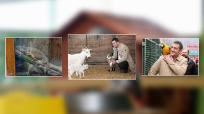 Giresun Belediye Başkanı Fuat Köse, belediye birimlerini ve faaliyetlerini denetlemeye