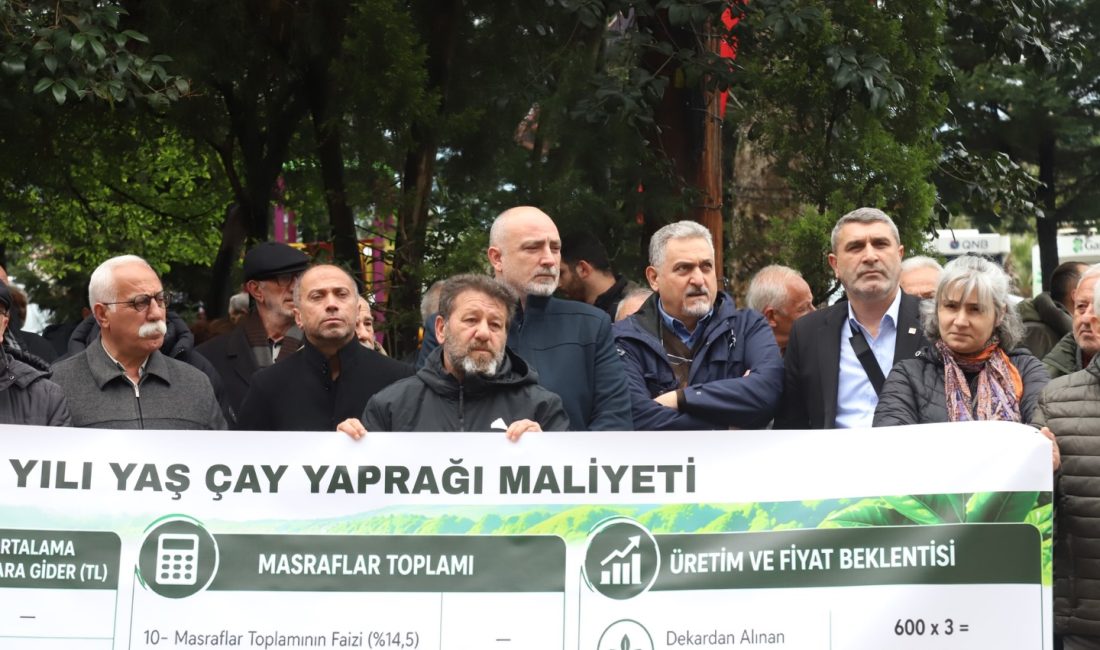 Hopa–Kemalpaşa Ziraat Odası, 2026 yılı yaş çay hasat sezonu öncesinde