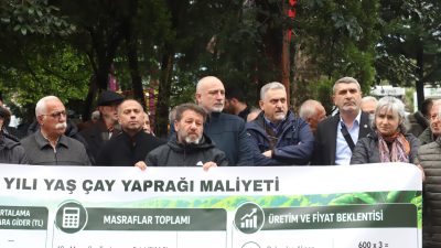 Hopa–Kemalpaşa Ziraat Odası, 2026 yılı yaş çay hasat sezonu öncesinde