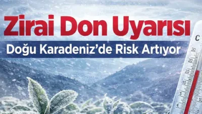 Rize Valiliği, Doğu Karadeniz için zirai don uyarısı yaptı. Çarşamba