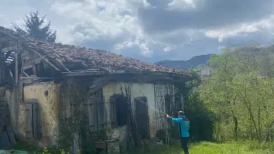 Trabzon'da kahverengi kokarca ile mücadele sürüyor. İl Tarım ve Orman