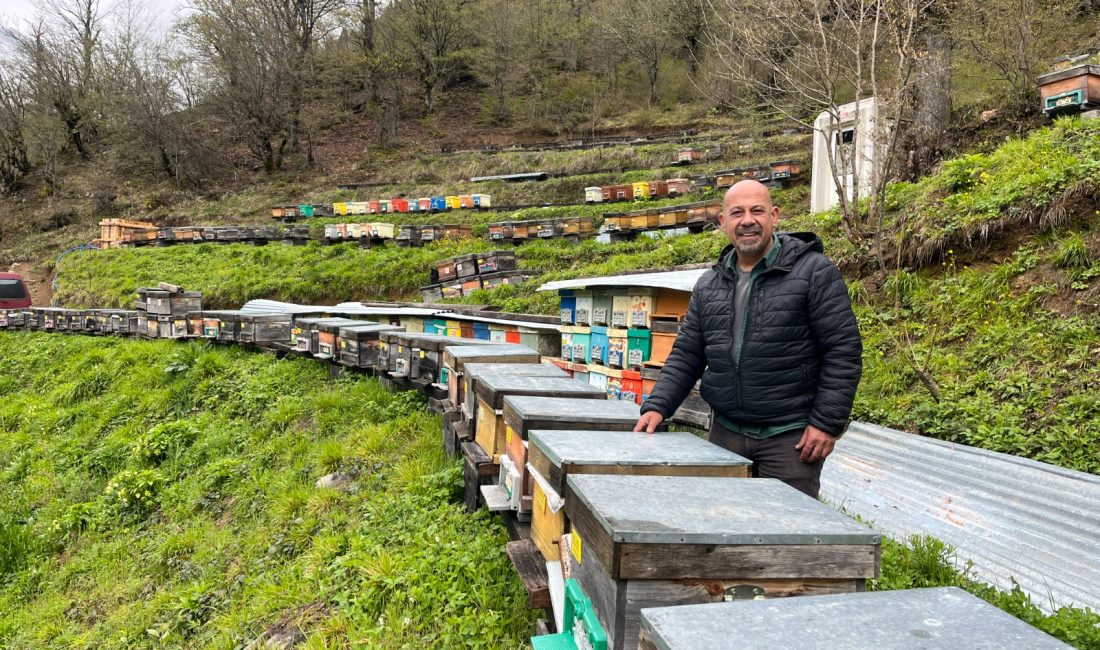 Artvin’de arıcılığın geliştirilmesi, bal üretiminin kalitesinin artırılması ve Artvin balının