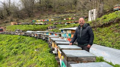 Artvin’de arıcılığın geliştirilmesi, bal üretiminin kalitesinin artırılması ve Artvin balının