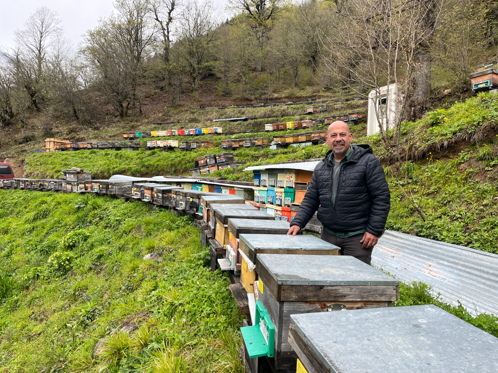 Artvin’de arıcılığın geliştirilmesi, bal üretiminin kalitesinin artırılması ve Artvin balının