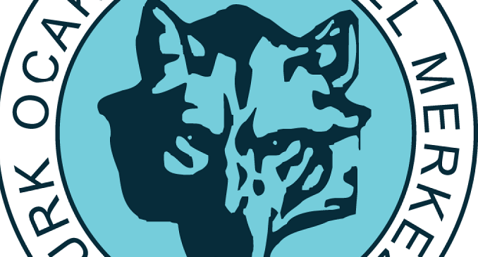 Türk Ocakları tarafından Sakarya’da düzenlenen bölge toplantısının ardından yayımlanan bildiride,