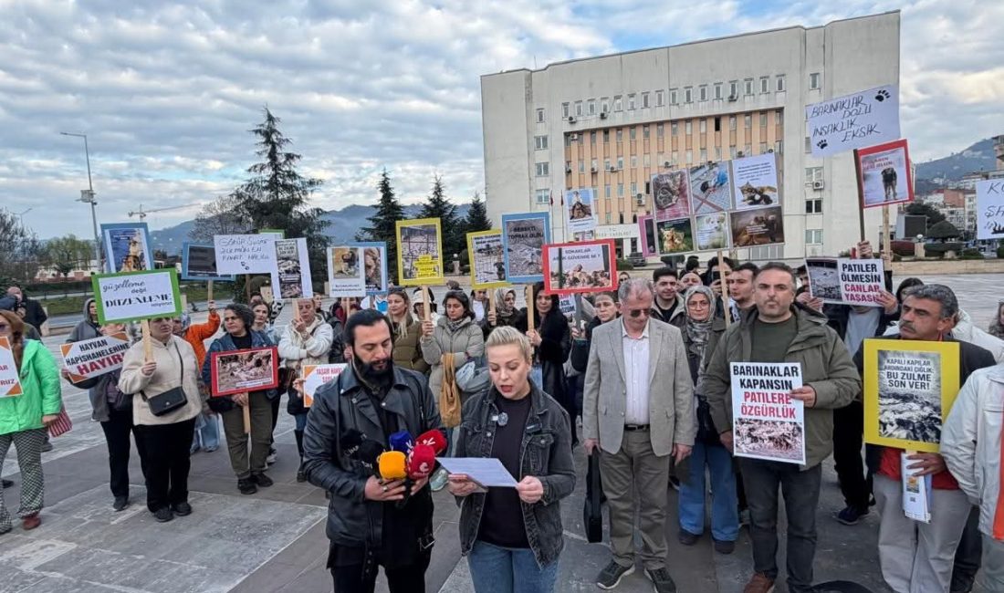 Rize’de hayvan severler, Rize İli Sahipsiz Hayvanları Koruma Birliği bünyesindeki