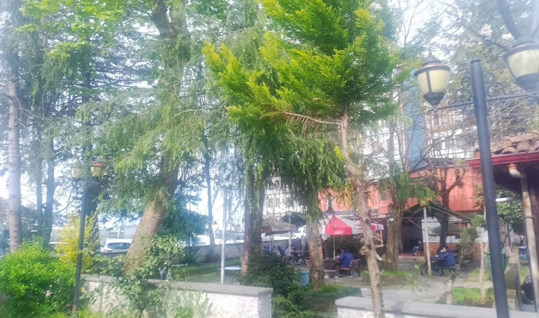 Rize şehir merkezinde Müftü Mahallesi’nde yıllardır hem dinlenme hem de
