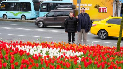 Rize’de baharın gelişiyle birlikte şehir genelinde lale güzelliği yaşanıyor. Rize