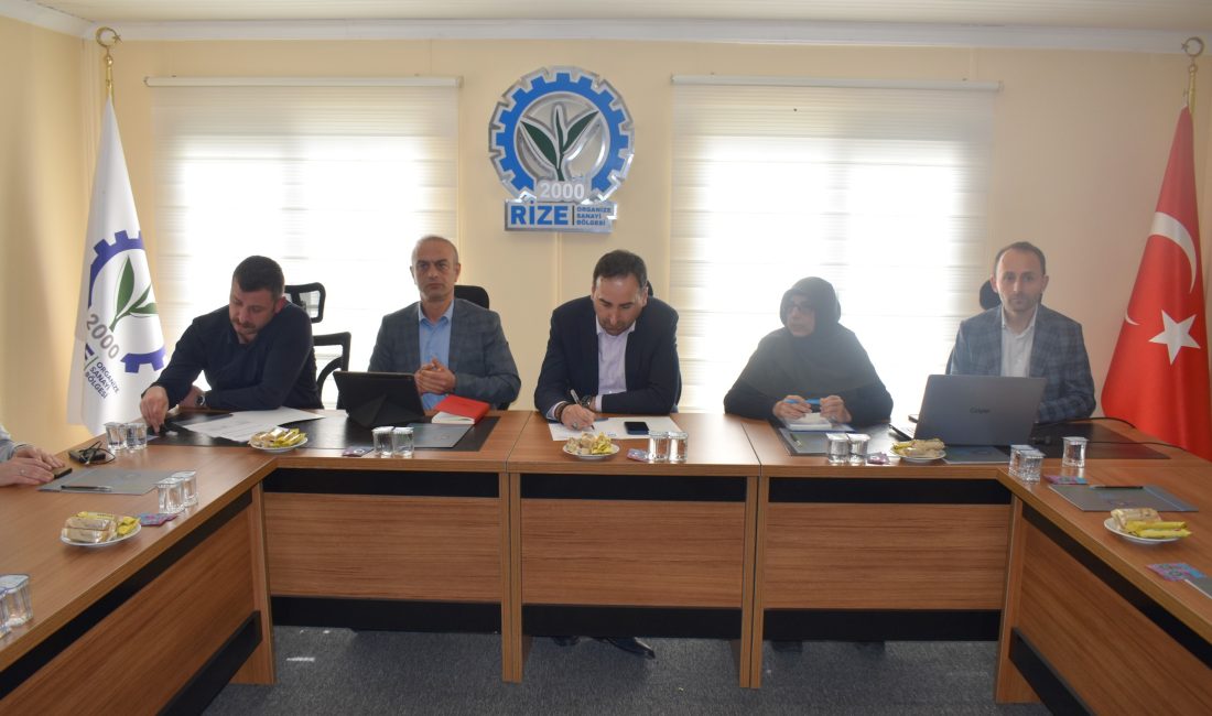 Sanayi ve Teknoloji Bakanlığı koordinasyonunda yürütülen Yerel Kalkınma Hamlesi Programı