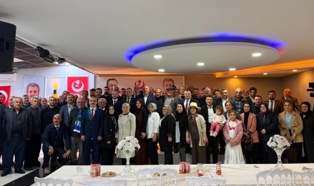 Büyük Birlik Partisi Rize İl Başkanlığı, il ve ilçe teşkilatları