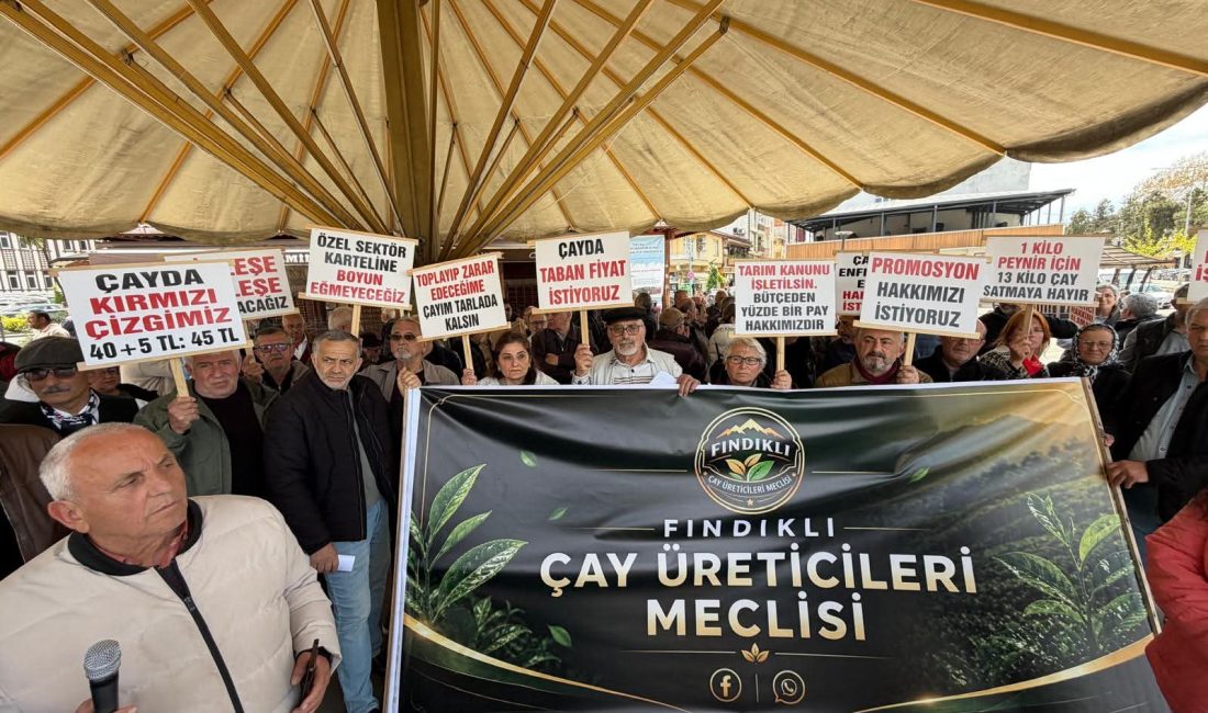 Doğu Karadeniz’in Rize, Trabzon, Giresun ve Artvin illerinde yaklaşık 205