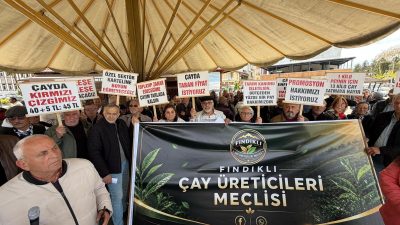 Doğu Karadeniz’in Rize, Trabzon, Giresun ve Artvin illerinde yaklaşık 205