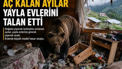KIŞ UYKUSUNDAN UYANAN DEV AYILAR YAYLA EVLERİNİ PARAMPARÇA ETTİ