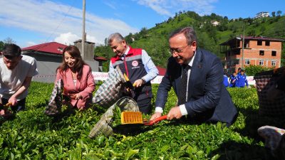 2026 yılı yaş çay sezonunun başlaması dolayısıyla yapılan şenliklere Artvin’in