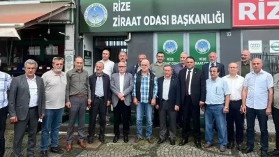 2026 yaş çay sezonunun ilk sürgününü değerlendiren ÇAYKUR yönetimi ile
