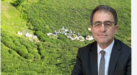 CHP Rize İl Başkanı Saltuk Deniz, yaş çay sektöründe yaşanan