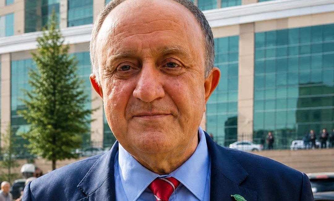 Ankara'da, NATO Zirvesi öncesinde yürütülen soruşturma kapsamında gözaltına alınan TEMA