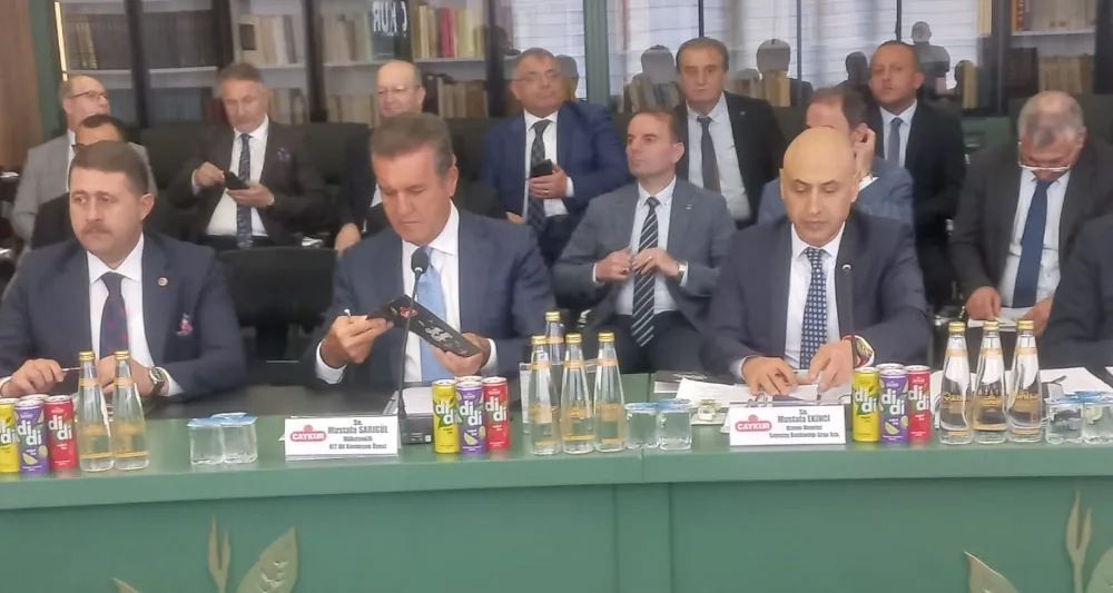 Türkiye Büyük Millet Meclisi (TBMM) Kamu İktisadi Teşebbüsleri (KİT) Alt