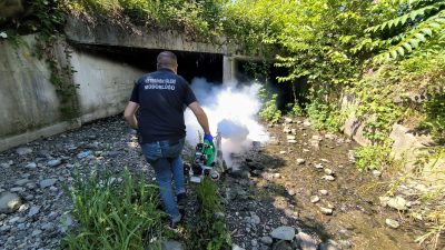 Rize Belediyesi Veteriner İşleri Müdürlüğü, yaz sezonunun gelmesiyle birlikte şehir