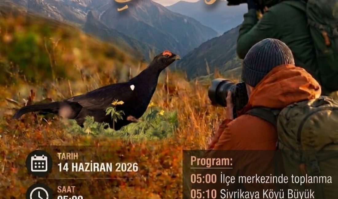 DÜNYADA ADINA ŞENLİK YAPILAN TEK HOROZ RİZE-İKİZDEREDE