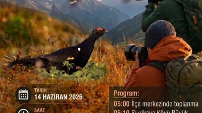 DÜNYADA ADINA ŞENLİK YAPILAN TEK HOROZ RİZE-İKİZDEREDE