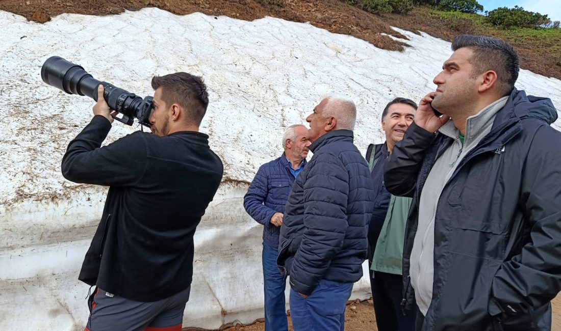 Nesli tükenmemesi için koruma altına alınan Dağ Horozu için İkizdere