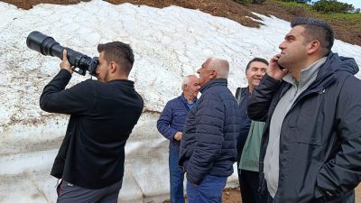 Nesli tükenmemesi için koruma altına alınan Dağ Horozu için İkizdere