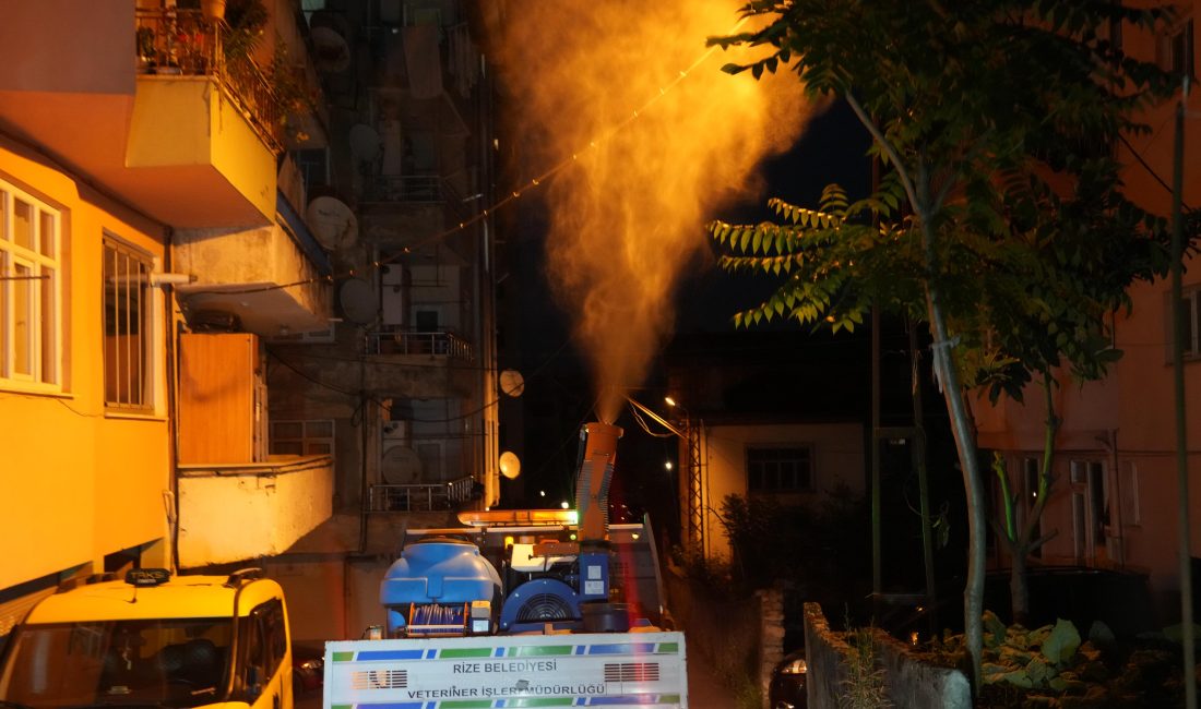 Rize Belediyesi Veteriner İşleri Müdürlüğü ekipleri, şehir genelinde sivrisinek oluşumunu
