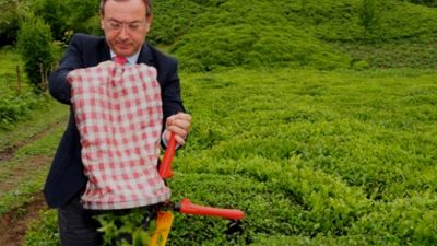 Çay İşletmeleri Genel Müdürlüğü tamamlanmasına sayılı günler kala, 1 sürgü