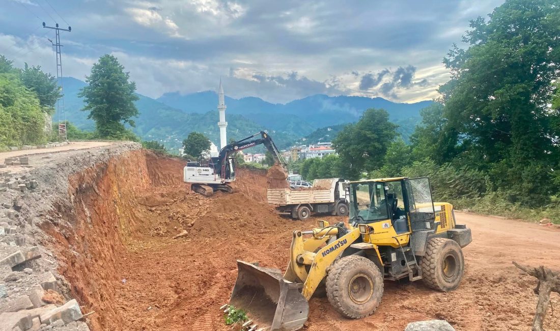 Devlet desteğiyle yürütülen projede belediye sahaya indi!