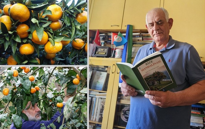 Sadece çok önemsediğim bir kaynak kitabı (RİZE MANDALİNASI. Prof. Dr.