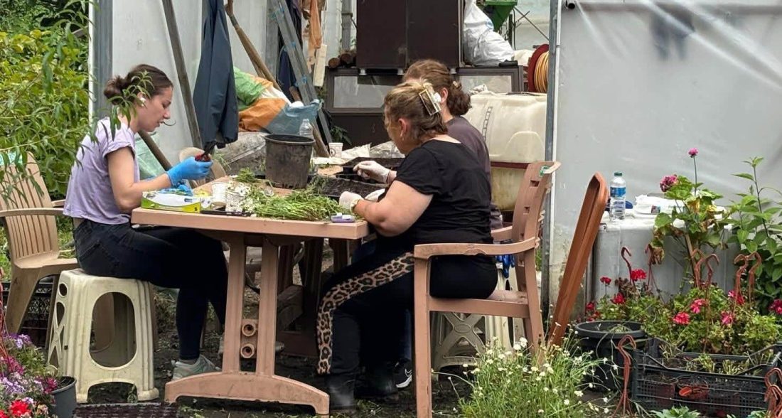 Fındıklı Ziraat Odası ile Fındıklı Belediyesi, Meci Tarım Parkı'nda yürütülen
