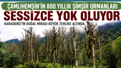 Rize’nin Çamlıhemşin ilçesinde bulunan ve Karadeniz’in en önemli doğal mirasları