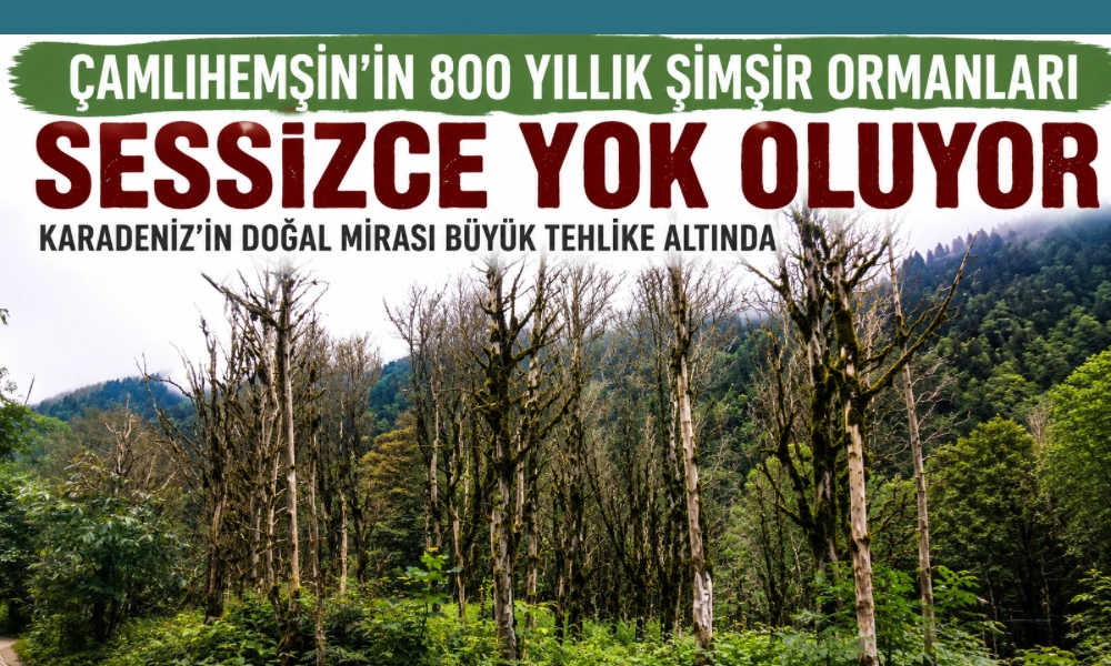 Rize’nin Çamlıhemşin ilçesinde bulunan ve Karadeniz’in en önemli doğal mirasları