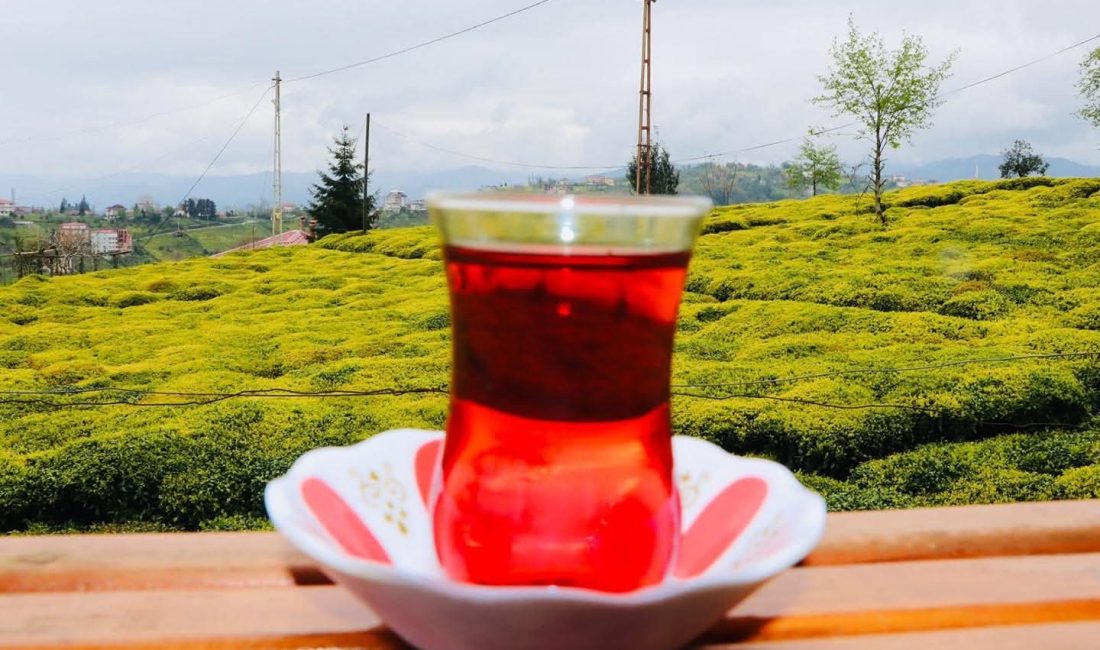 Türkiye'de milyonlarca kişinin vazgeçilmez içeceği olan siyah çayda fiyat artışları