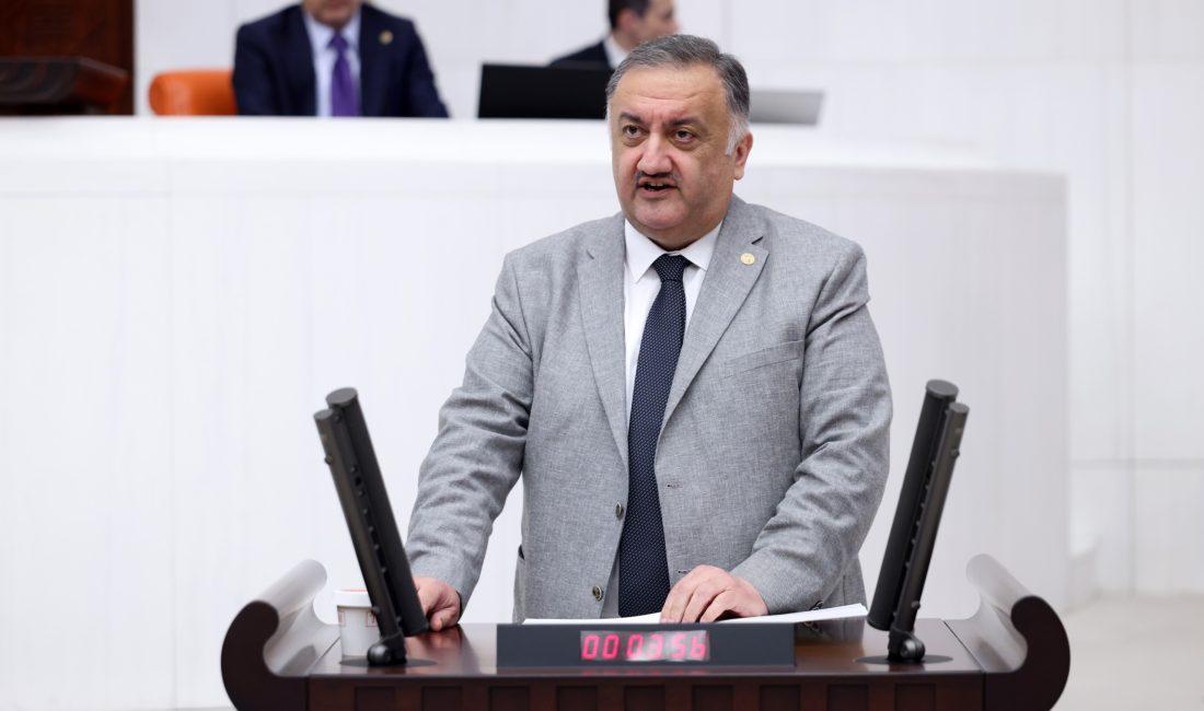 DEVA Partisi Genel Başkan Yardımcısı ve İstanbul Milletvekili Hasan Karal,