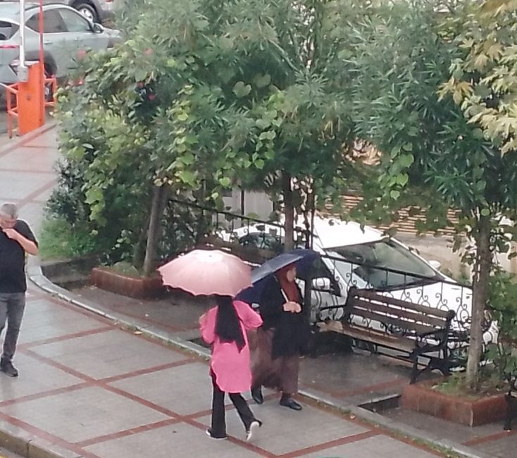 Meteoroloji Genel Müdürlüğü'nün son tahminlerine göre Doğu Karadeniz'de bugün parçalı