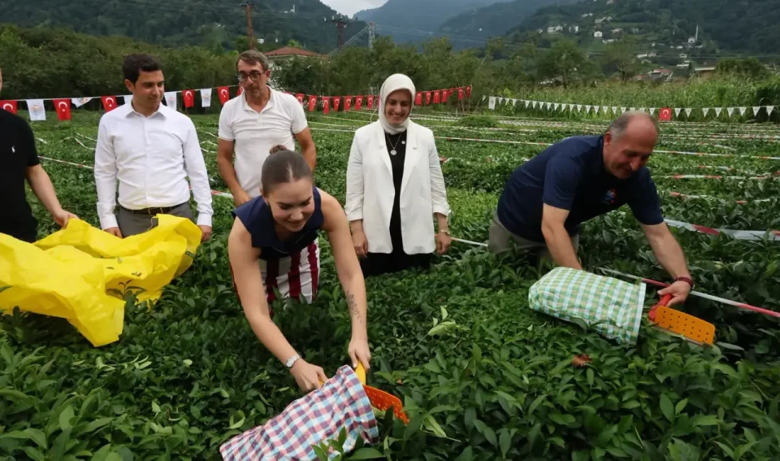 52. Uluslararası Arhavi Kültür ve Sanat Festivali kapsamında Yemişlik Mahallesi’nde