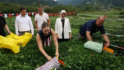 52. Uluslararası Arhavi Kültür ve Sanat Festivali kapsamında Yemişlik Mahallesi’nde