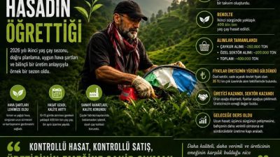 2026 yılı ikinci yaş çay sezonu büyük ölçüde tamamlandı. Yüksek