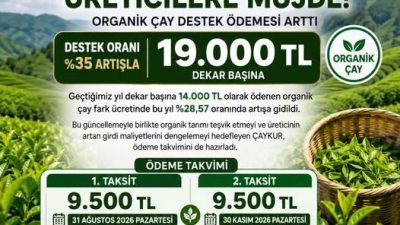 ÇAYKUR, organik çay üreticilerine yönelik uygulanan organik çay fark ücretinde