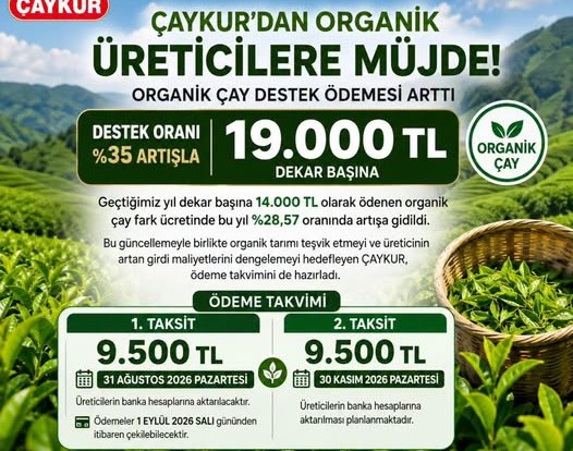 ÇAYKUR, organik çay üreticilerine yönelik uygulanan organik çay fark ücretinde