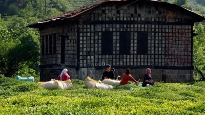 Çay üreticisi Emin Kanbur, Hazine  Maliye Bakanı Mehmet Şimşek'in