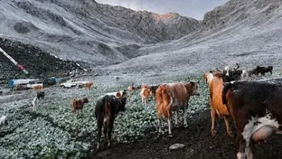 Doğu Karadeniz’in yüksek kesimlerinde ağustos ayında kar sürprizi yaşandı. Hava