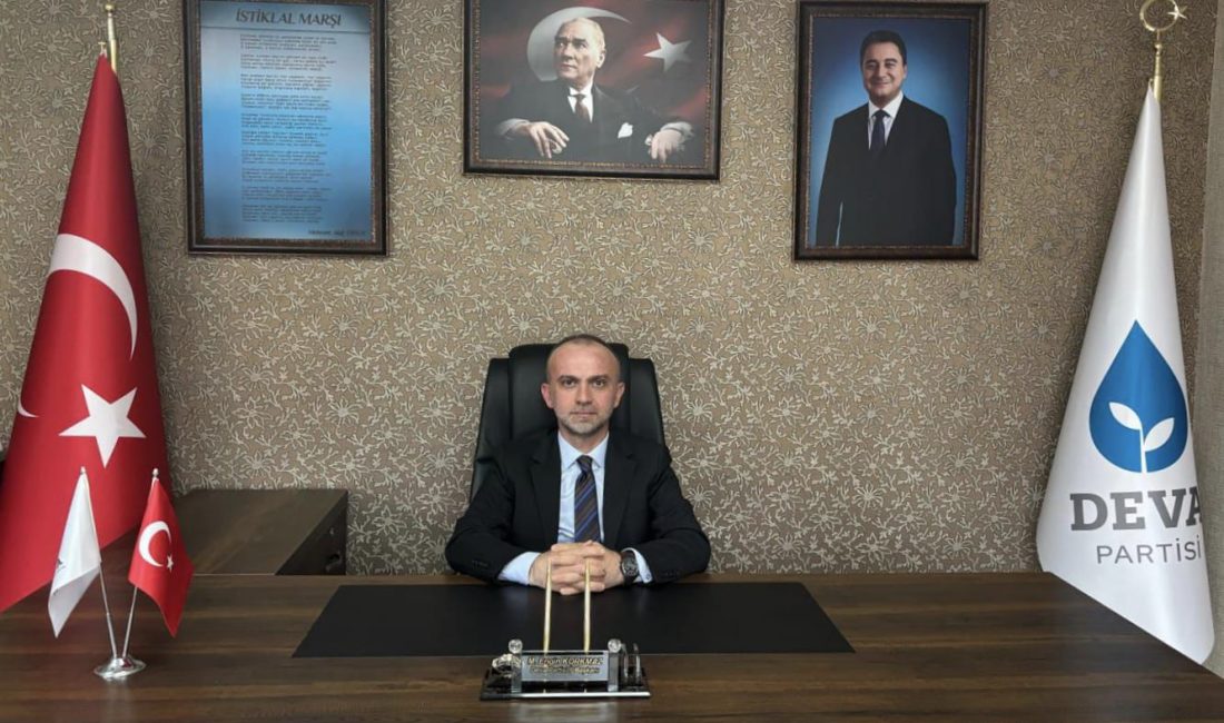 DEVA Partisi Rize İl Başkanı Mehmet Engin Korkmaz, Hazine ve